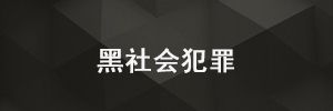 组织、领导、参加黑社会性质组织罪